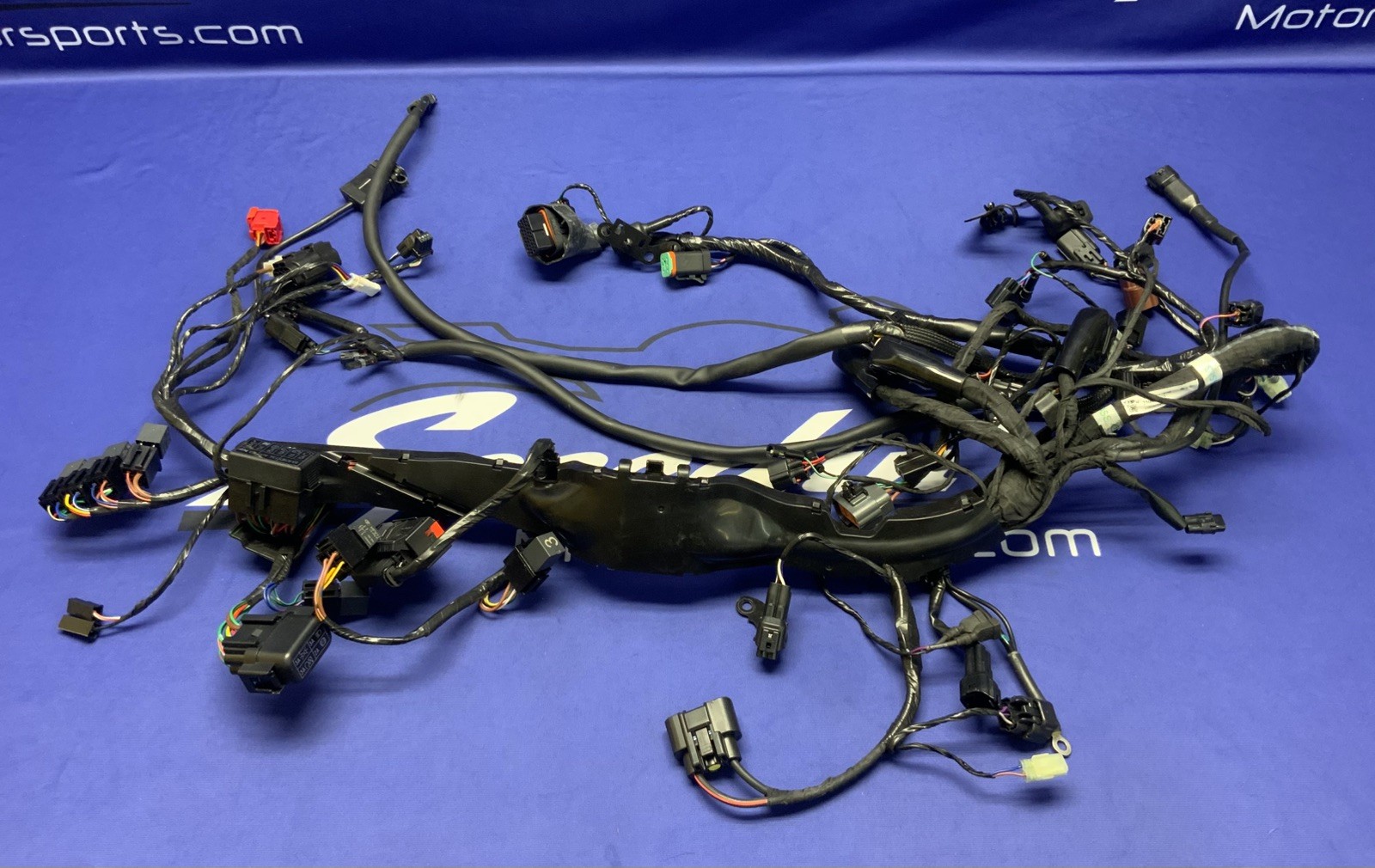 Triumph Main Wiring Harness Street Triple RS 2023-2025 OEM T2509765