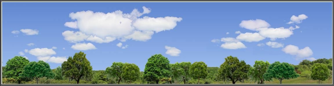 TRACKSIDE BACKDROP #570B Trees and sky N Scale