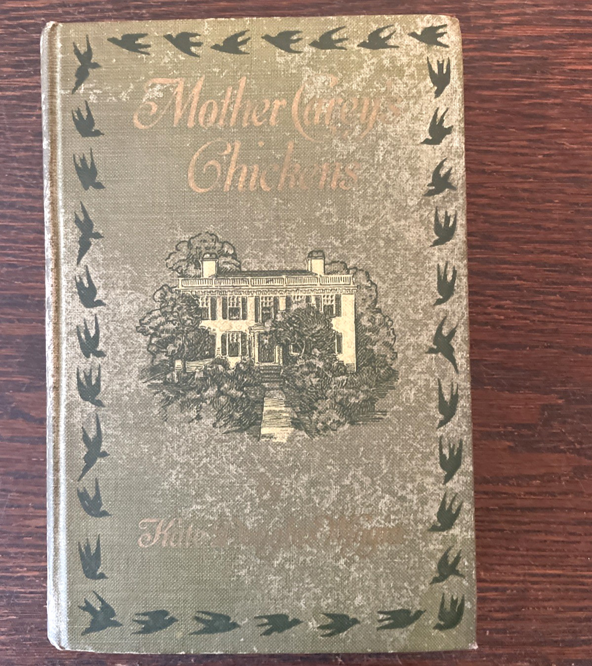 Mother Carey\'s Chickens Kate Douglas Wiggin 1911 Illustrated Coming of Age Book Mother Carey\'s Chickens Kate Douglas Wiggin 1911 Illustrated Coming of Age Book