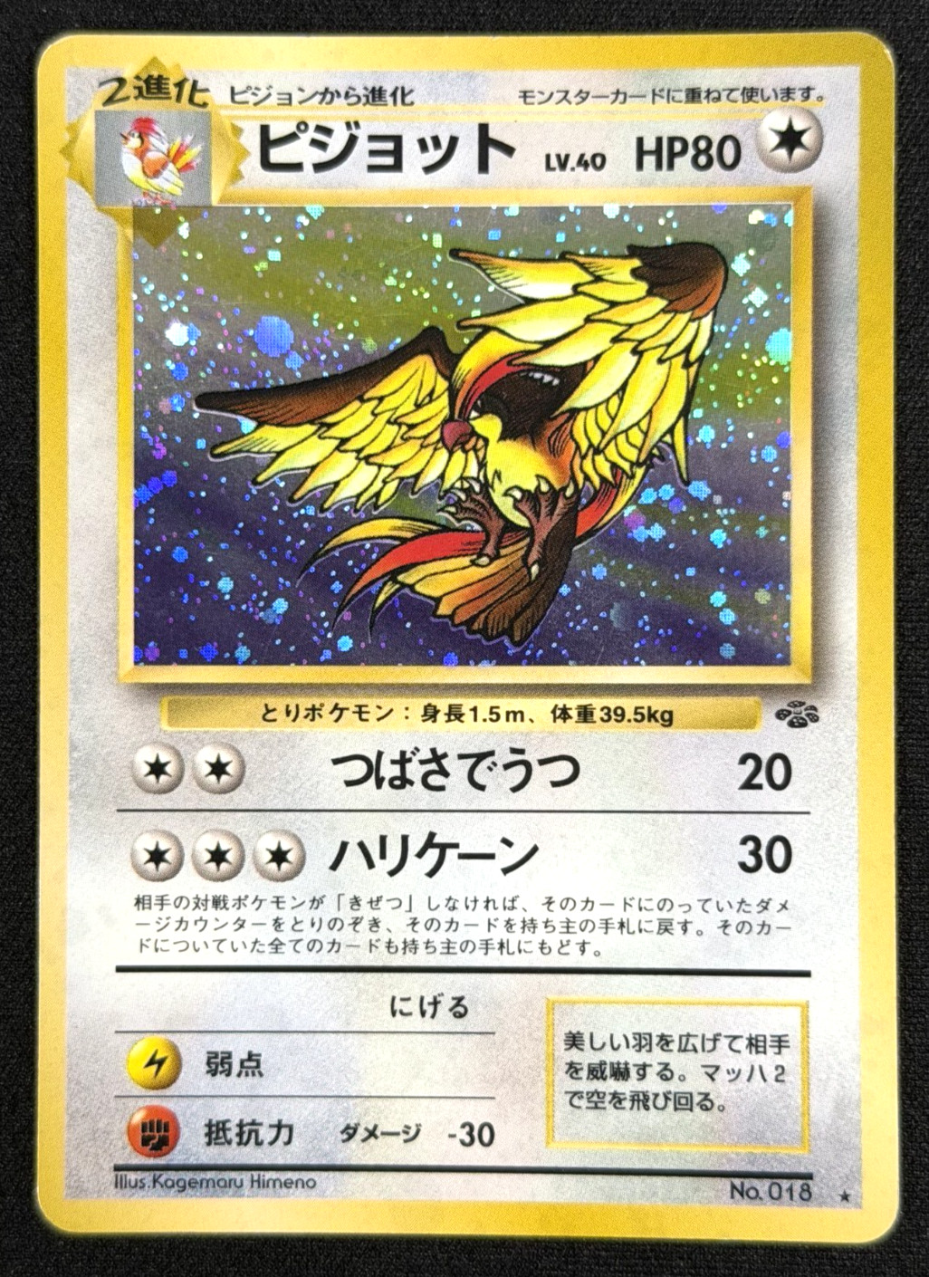 1997 Pokémon TCG • Pidgeot No.018 • Jungle Holo • Japanese B