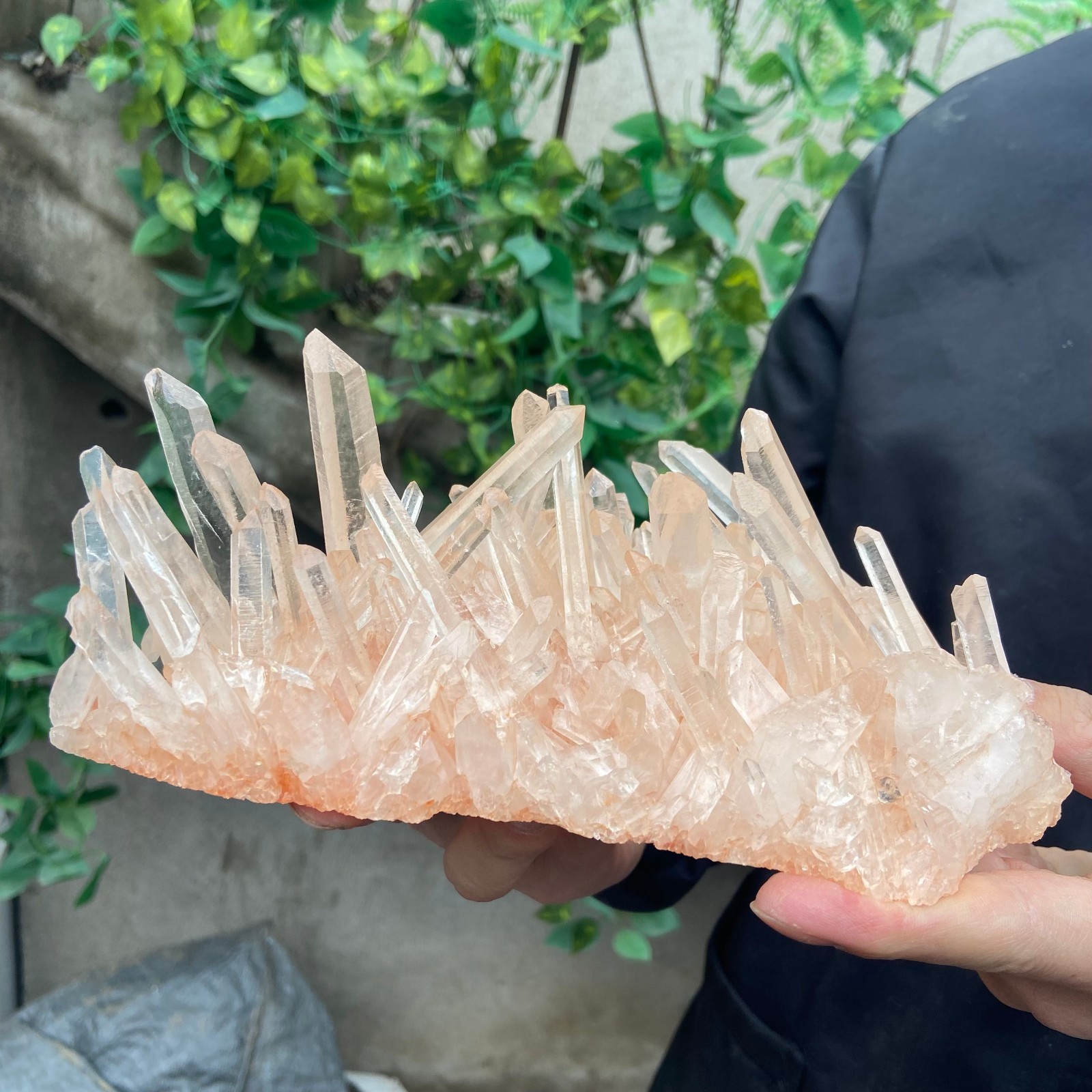 1.6lb Natural clear white crystal quartz cluster rough mineral specimen