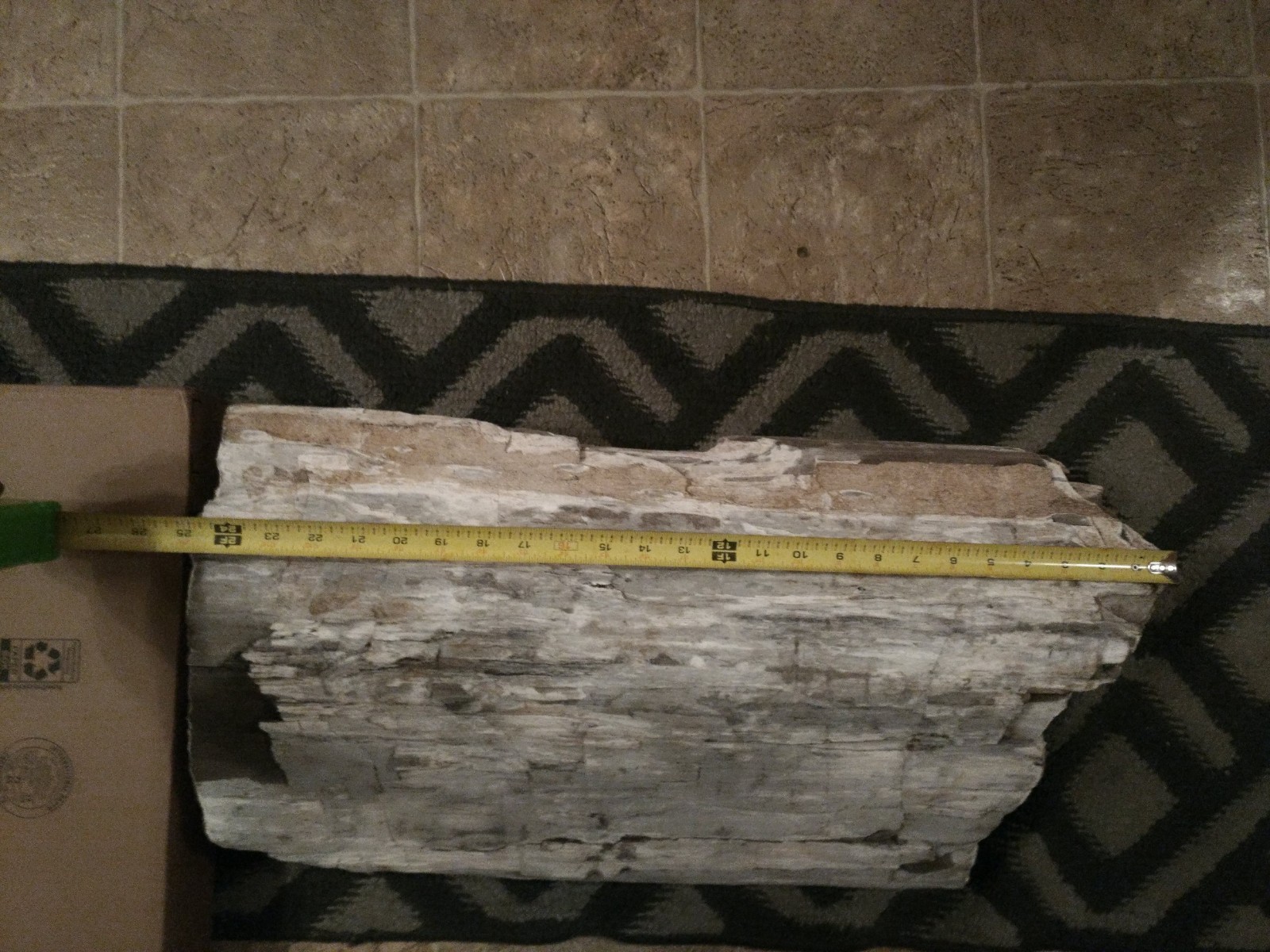Really nice piece of Petrified Wood Really nice piece of Petrified Wood