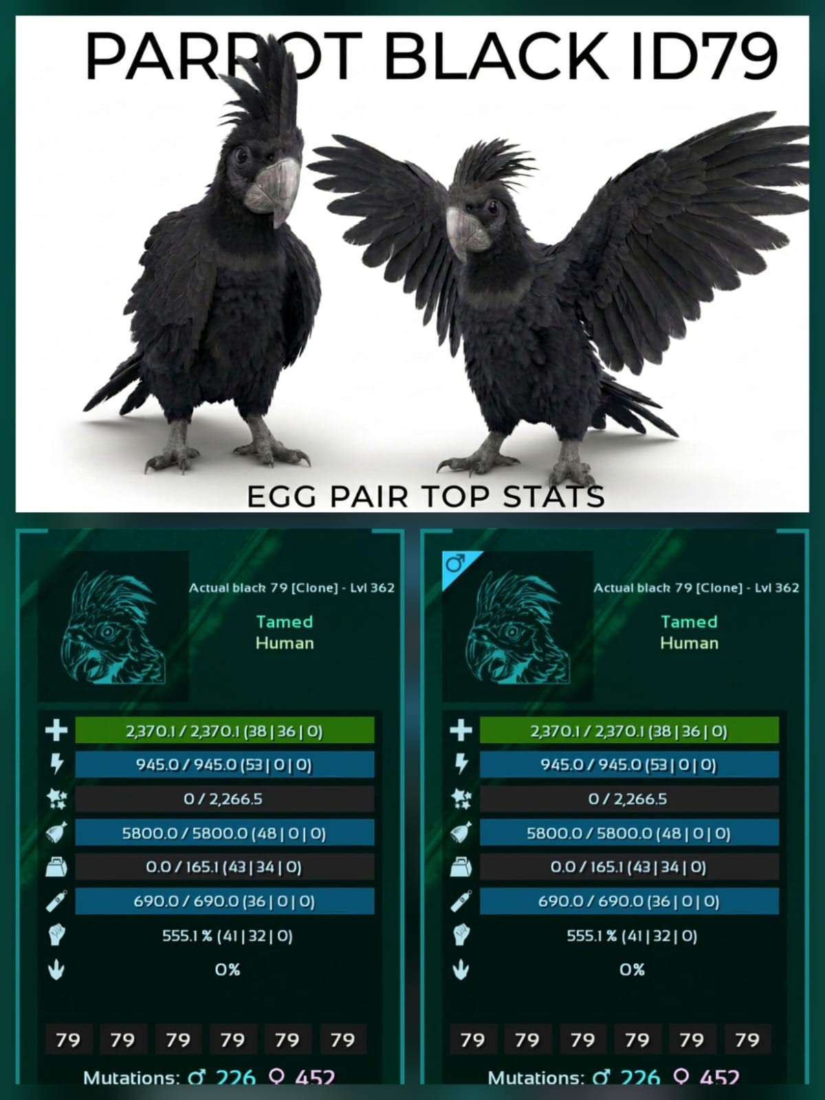 PARROT Top Stats Egg Pair Level 362 -  Ark Ascended PVE Official Crossplay