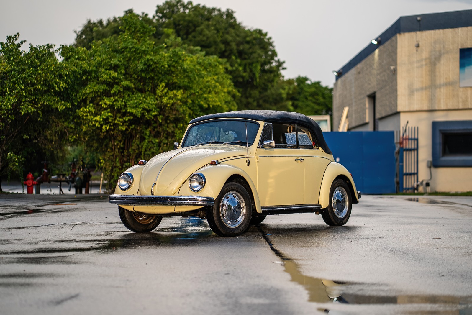 1969 Volkswagen Beetle - Classic 1969 Volkswagen Beetle - Classic