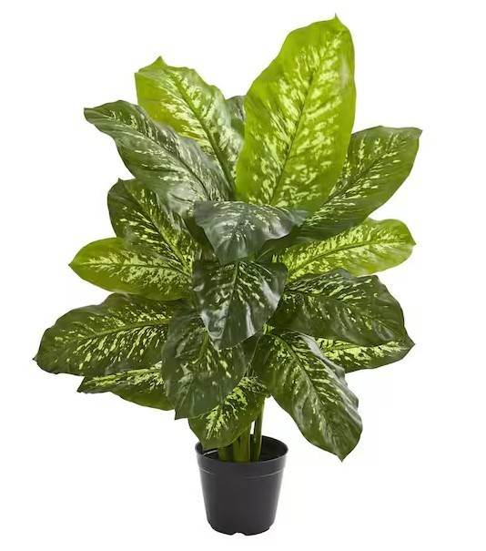 Nearly Natural Indoor 34 in. Dieffenbachia Artificial Plant