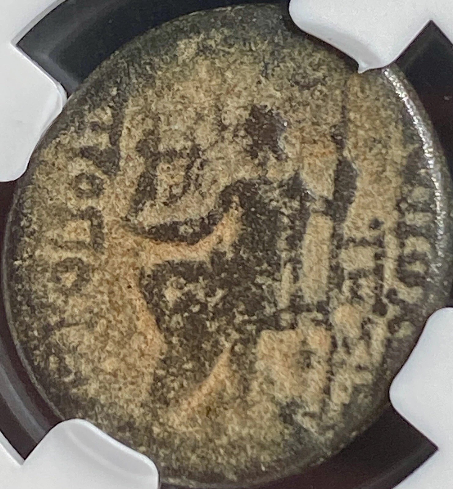 Ancient Greek Coin NGC Genuine 39BC-38BC Zeus Seated Roman Rule