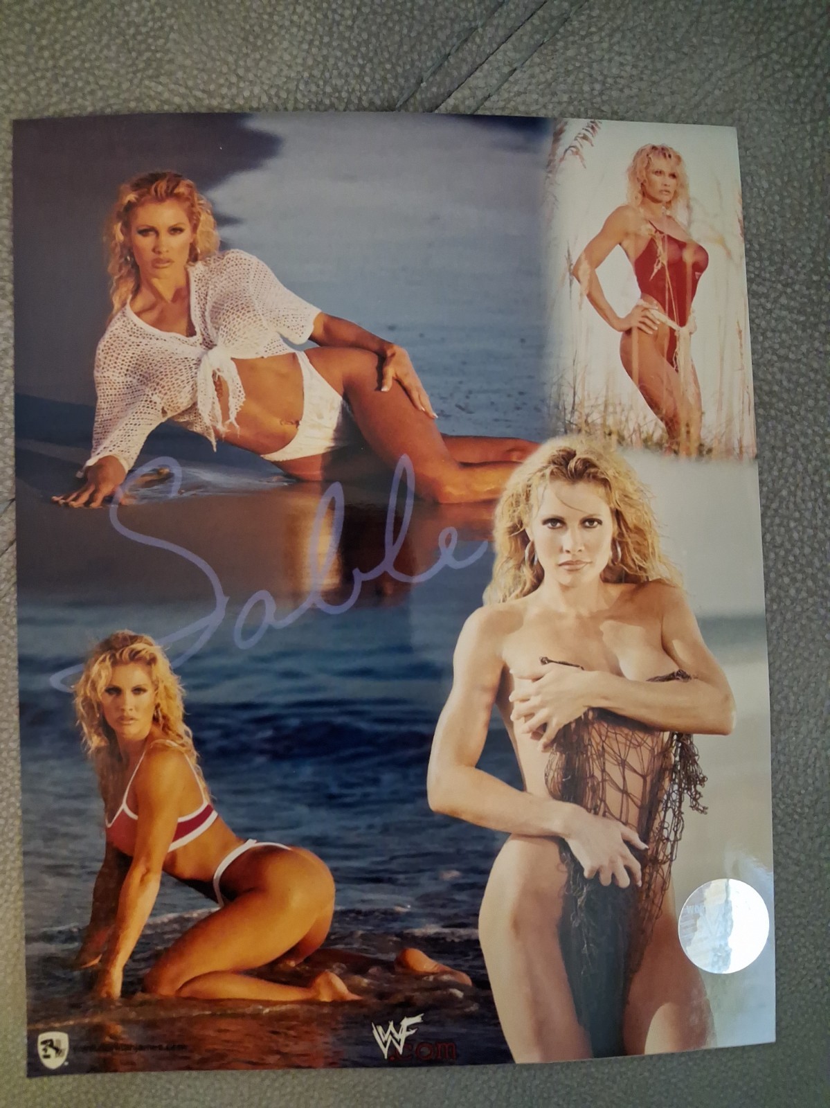 Vintage Sable WWF Wrestling Diva 90s 8