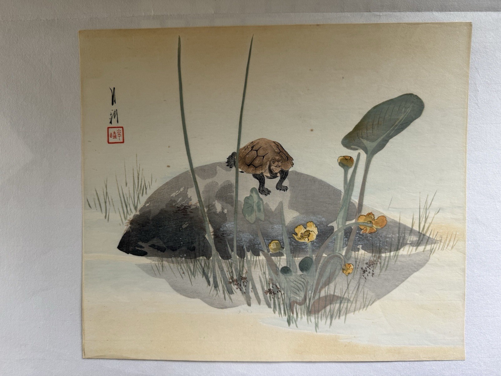 Antique  Japanese Woodblock Print Ogata Gekko “Turtle Among Water Lilies” c.1900