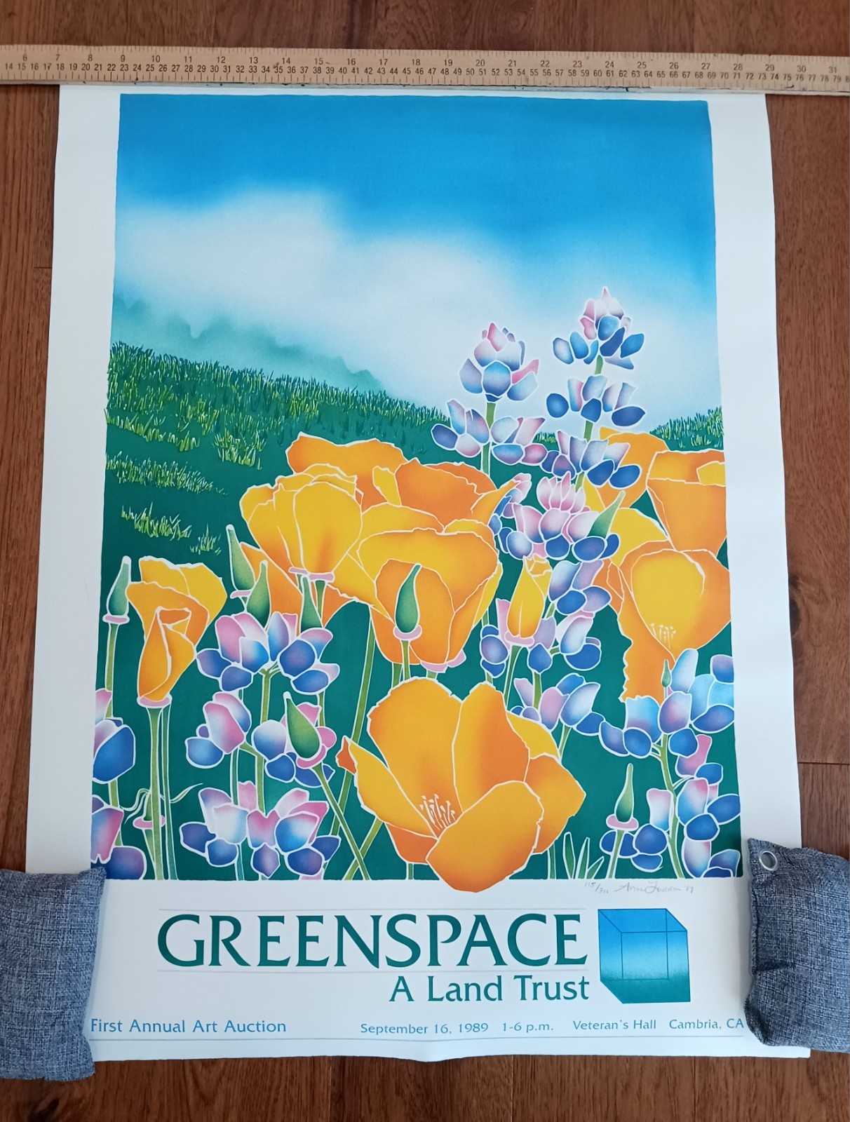 1989 Anne Laddon Lithograph Poster Cambria GREENSPACE Signed & Numbered 115/300 1989 Anne Laddon Lithograph Poster Cambria GREENSPACE Signed & Numbered 115/300
