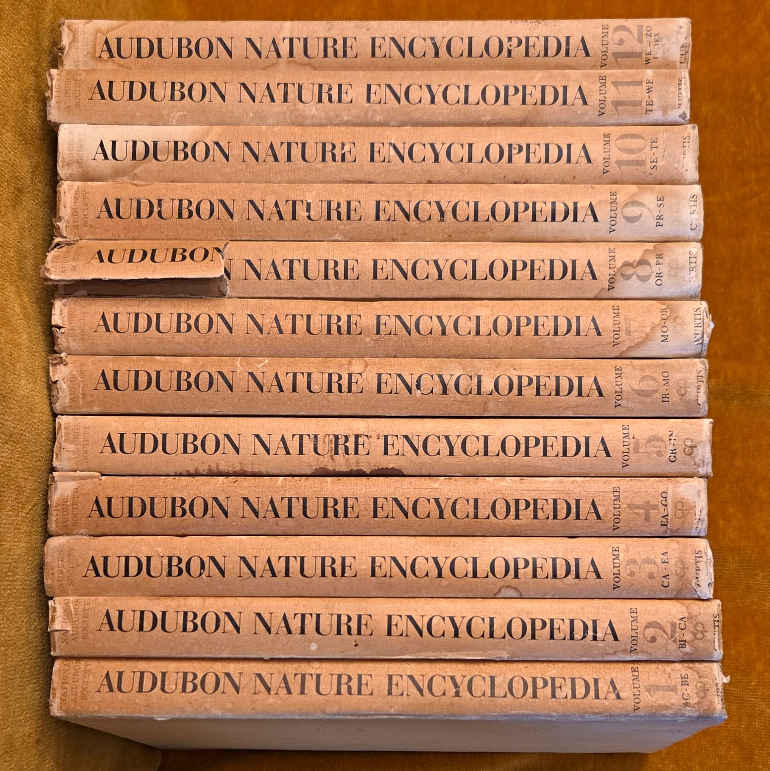 Vintage 1965 Audubon Nature Encyclopedia Complete 12 Vol Set MC Clean Insides Vintage 1965 Audubon Nature Encyclopedia Complete 12 Vol Set MC Clean Insides