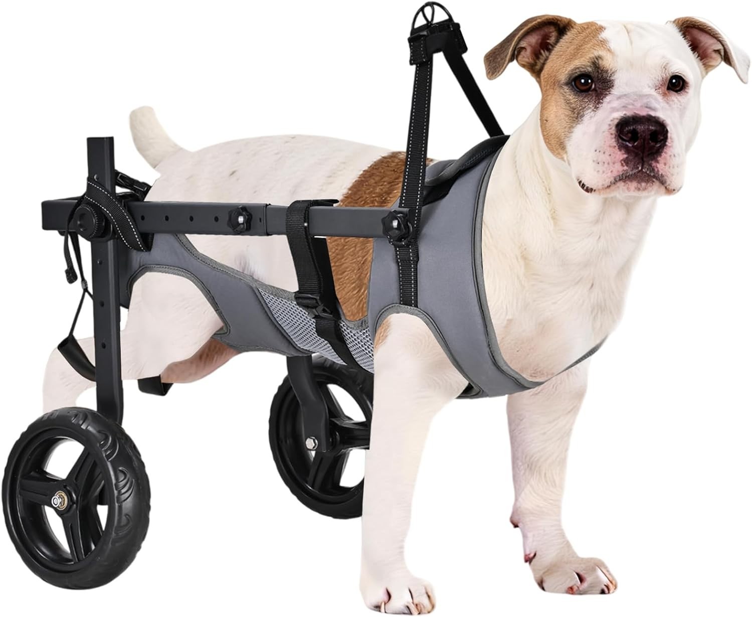 Size L - Dog Wheelchair for Back Legs, Adjustable  (Large) Open Box - New