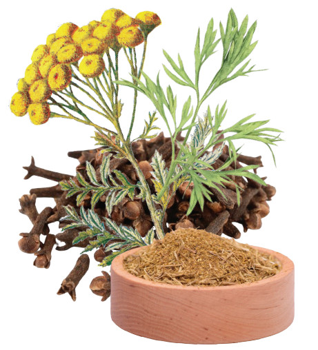 Triychatka (Tansy, Wormwood and Clove) Powder Organic Triychatka (Tansy, Wormwood and Clove) Powder Organic