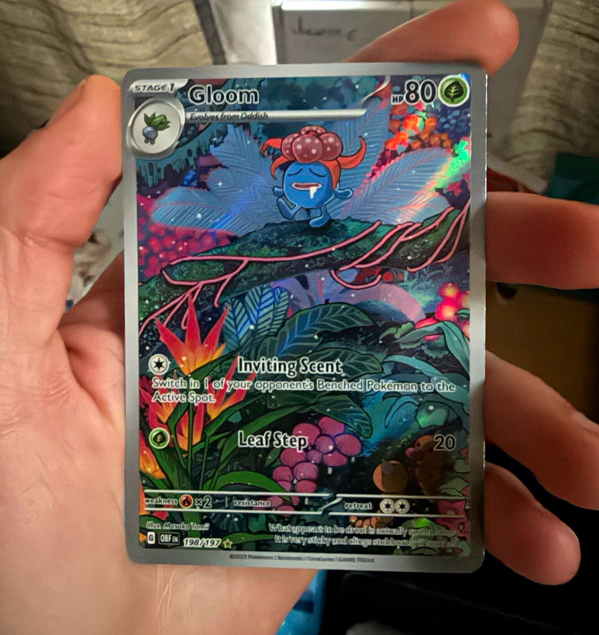 Pokemon TCG Gloom 198/197 SV03 Obsidian Flames Illustration Rare Holo EN