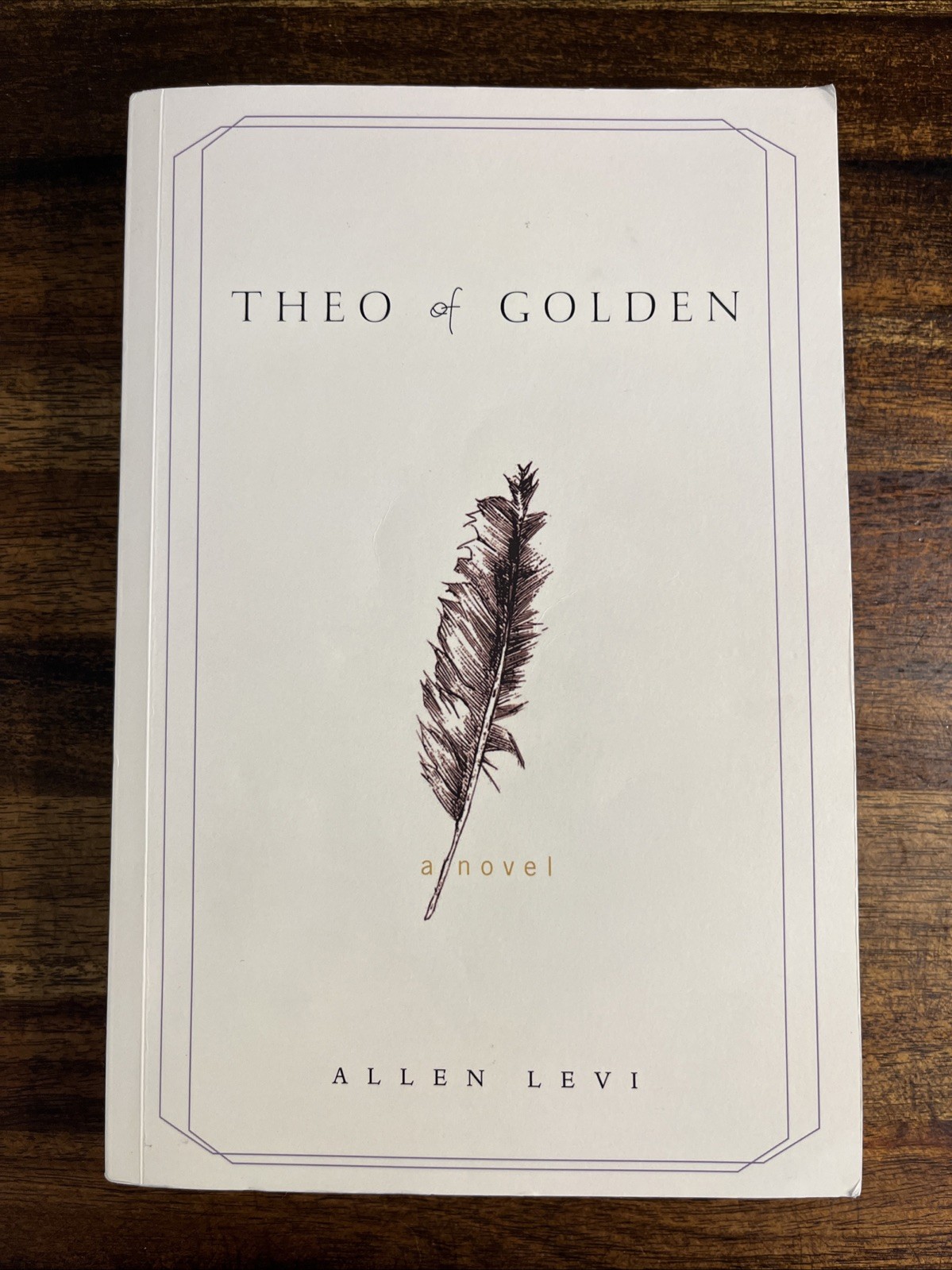 Theo of Golden Allen Levi RARE SELF PUBLISHED True 1st Edition STATED TPB Theo of Golden Allen Levi RARE SELF PUBLISHED True 1st Edition STATED TPB