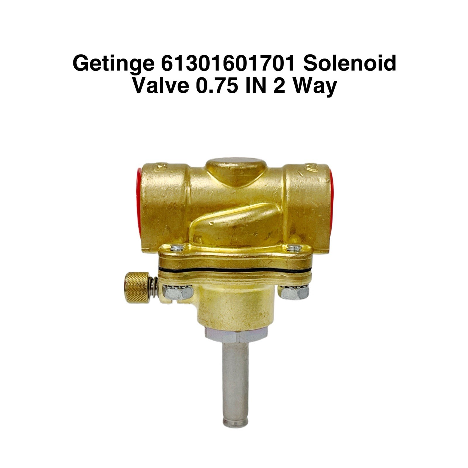 Getinge REF 61301601701 Solenoid Valve Only 0.75 IN 2 Way