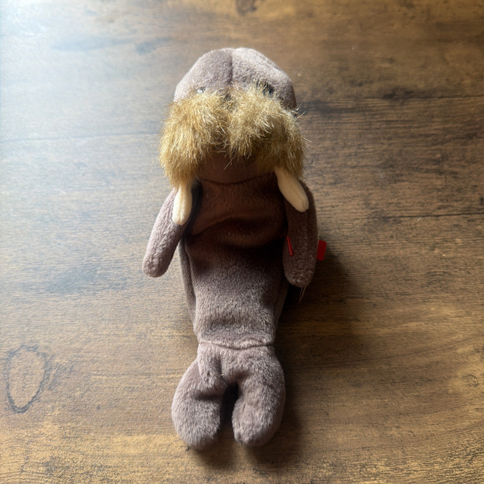 TY Beanie Baby “Jolly” The Walrus Toy - RARE/TAG ERRORS, PVC Pellets  1996