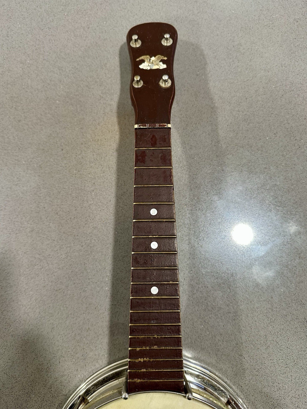 Vintage 1920s American Eagle Brand Banjo Ukulele Banjolele Metal Body Chicago