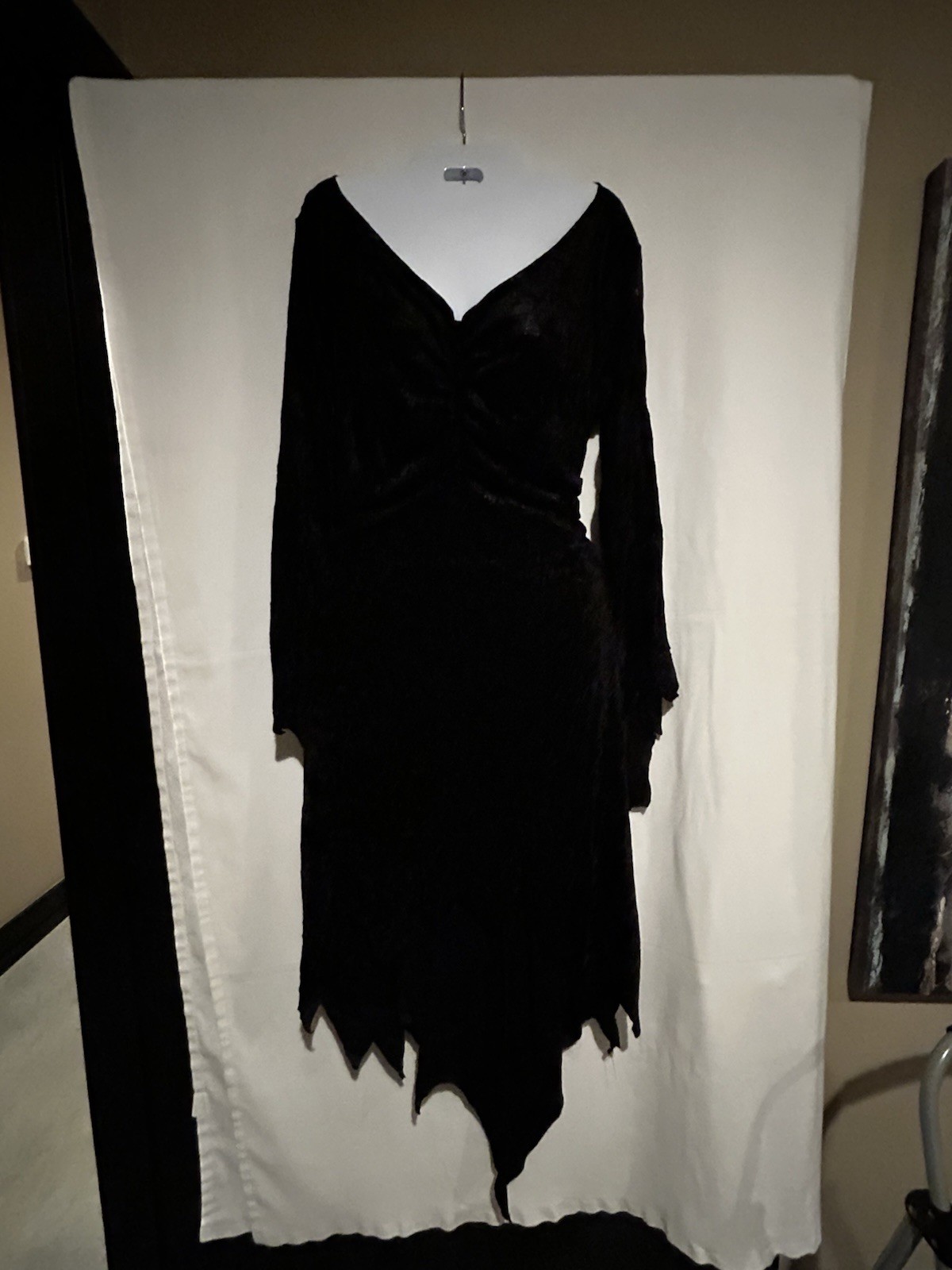 Disguise Women’s Witch Costume Black Velvet Dress Hat Halloween Size l 12/14