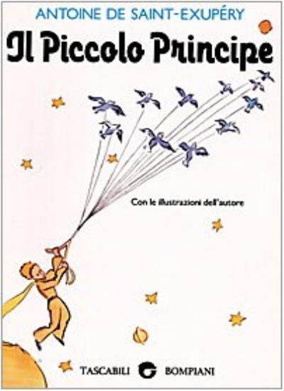 Il Piccolo Principe (The Little Prince) (Italian Edition) By Ant