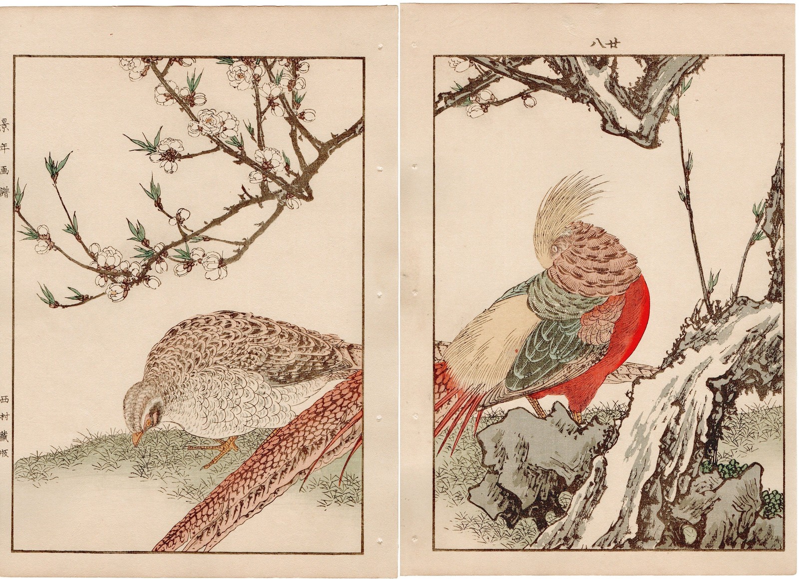 Japanese Antique Original Woodcut Print, 1892, Imao Keinen, 