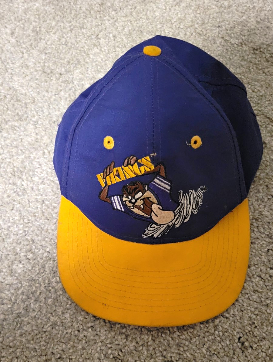 Looney Tunes Tasmania Devil Vintage Vikings hat
