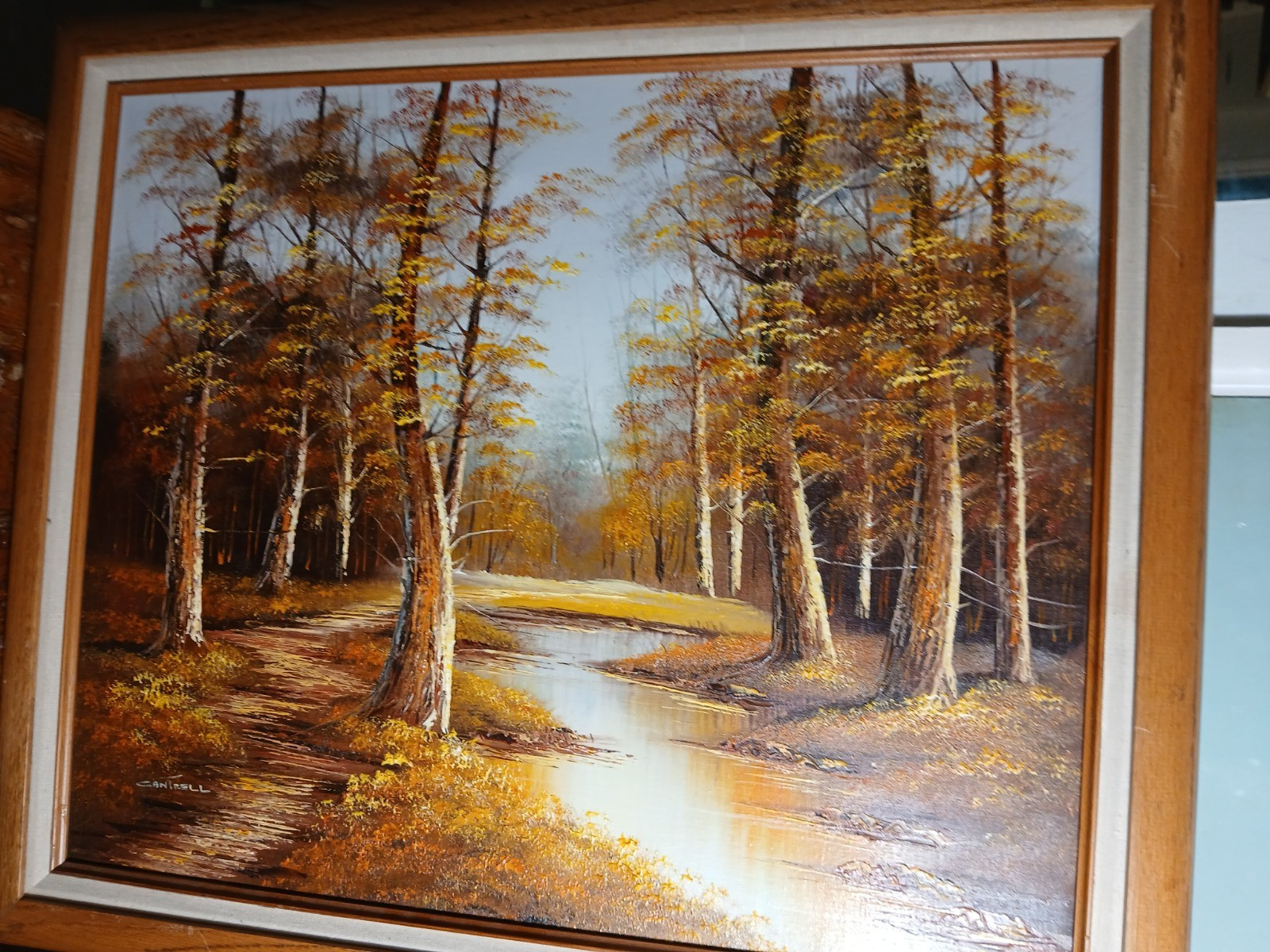 Original Oil landscape forest on Canvas by Phillip Cantrell 29\ Original Oil landscape forest on Canvas by Phillip Cantrell 29\