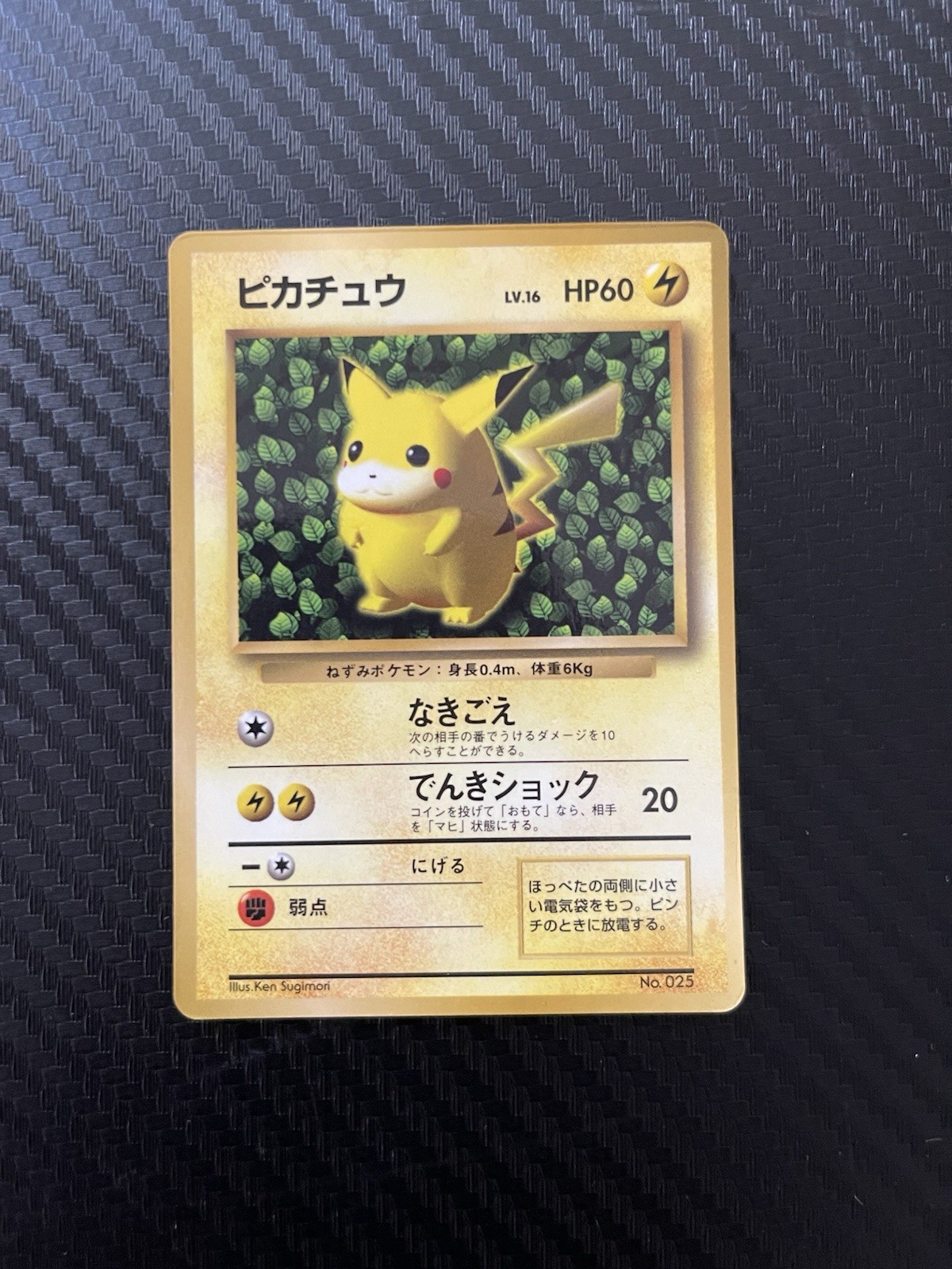 Ivy Pikachu No.025 Glossy MP Coro Coro Promo Japanese Pokemon TCG