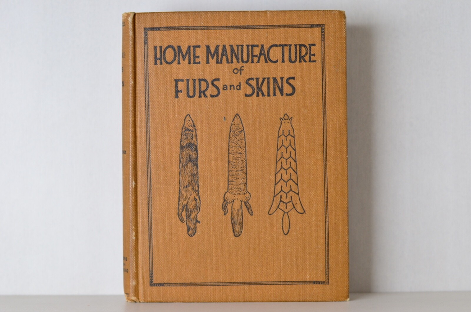 Antique Home Manufacture of Furs and Skins by Albert Farnham 1916
