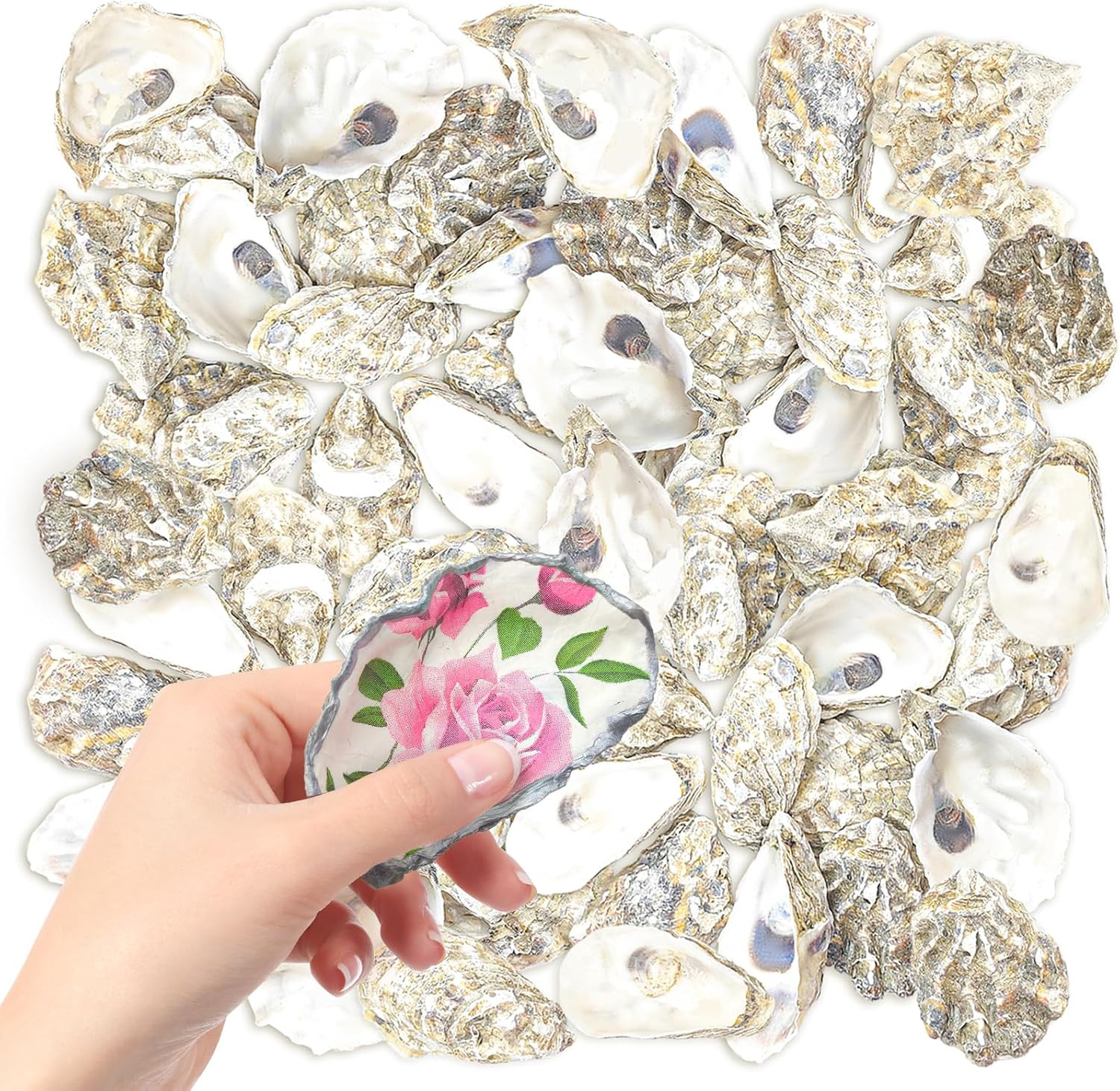 50 PCS 3\