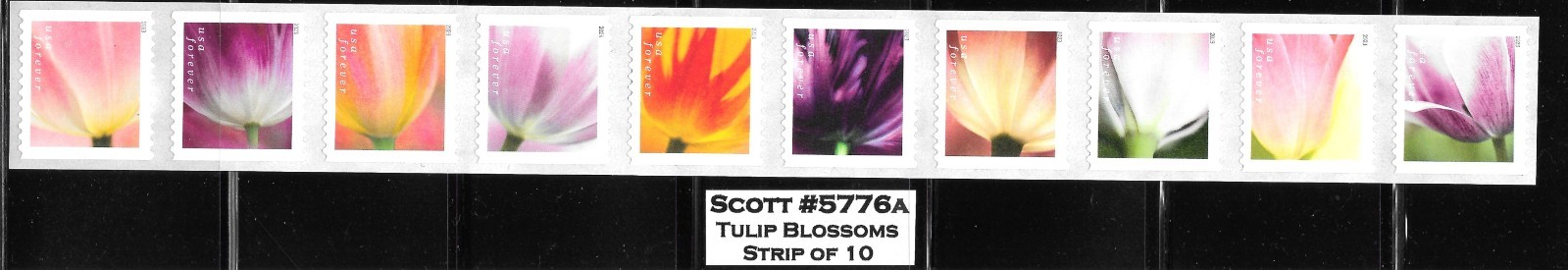 Scott #5776a (63c) 2023 Tulip Blossoms Strip of 10 from 3K or 10K Coil, Mint NH