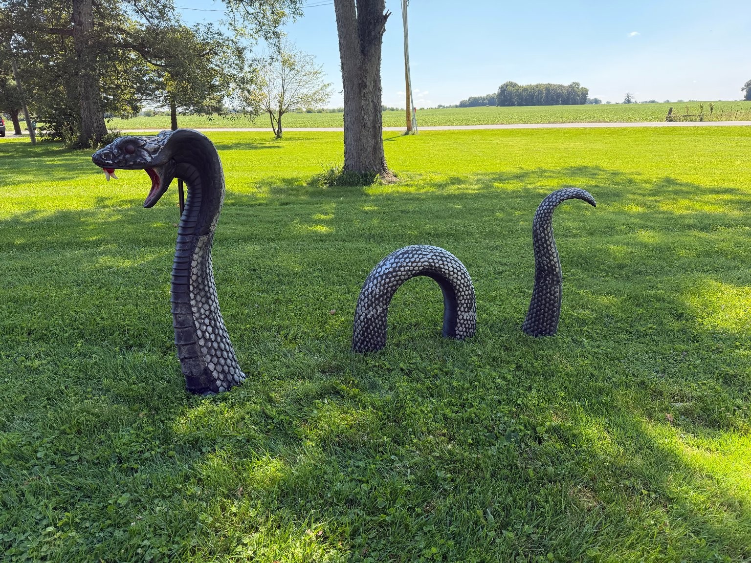 RARE Pan Asian 4 Ft Giant Snake LED Halloween Blow Mold 5 Piece 2022