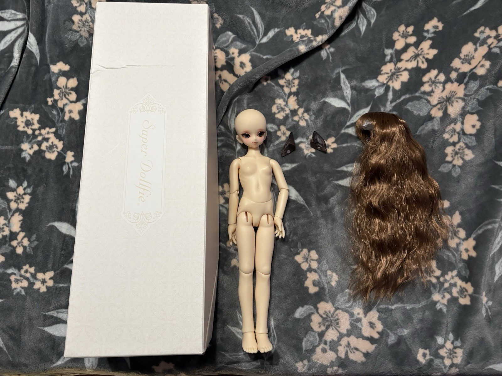 Volks Super Dollfie (SDM) Full Choice System Hisui (F-14)