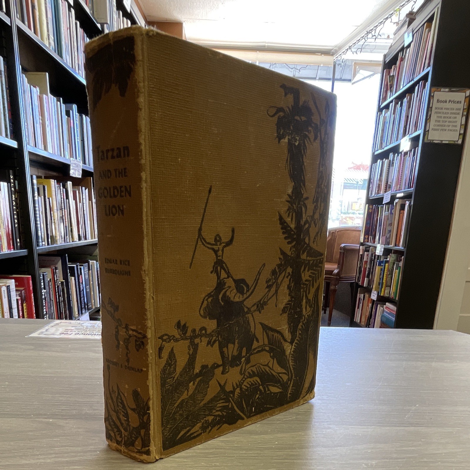 Edgar Rice Burroughs Tarzan and the Golden Lion 1923 HC Illustrated Grosset