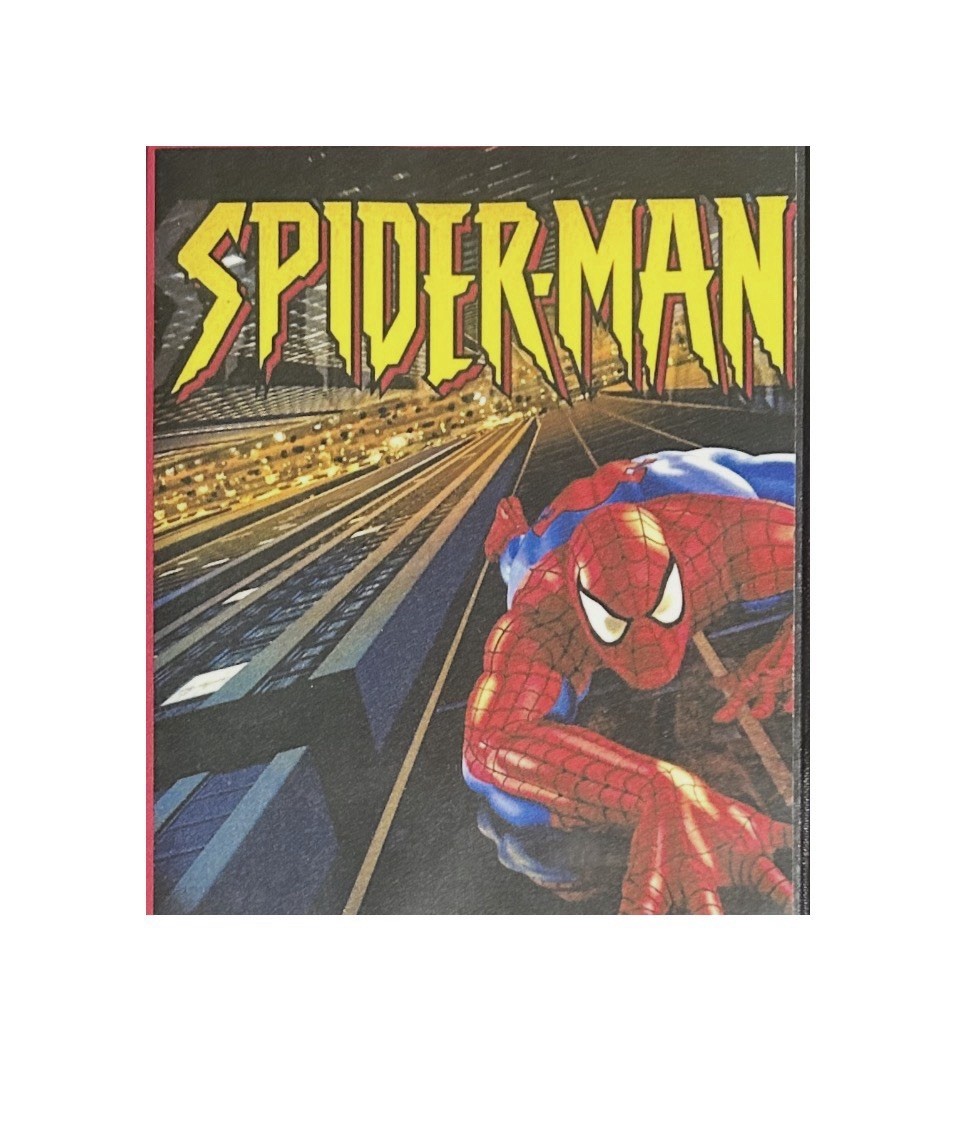 SPIDER-MAN: COMPLETE 1994 ANIMATED SERIES: DVD SPIDER-MAN: COMPLETE 1994 ANIMATED SERIES: DVD