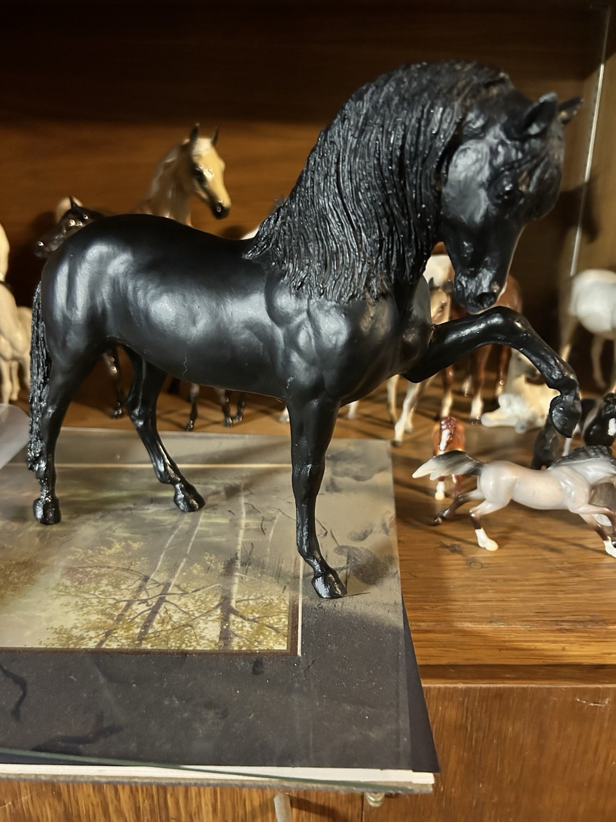 Breyer Traditional Legionario III Eclipse - Fall Show Special black