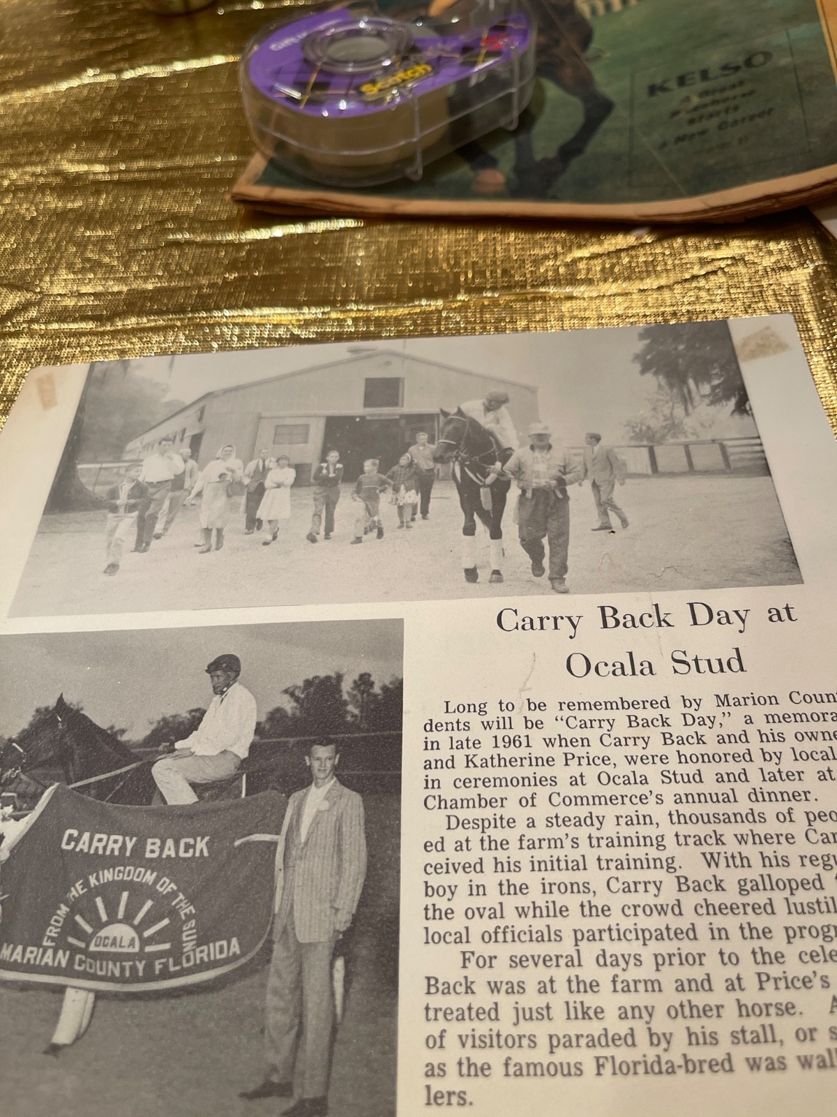 Champion Racehorse- CARRY BACK Champion Racehorse- CARRY BACK