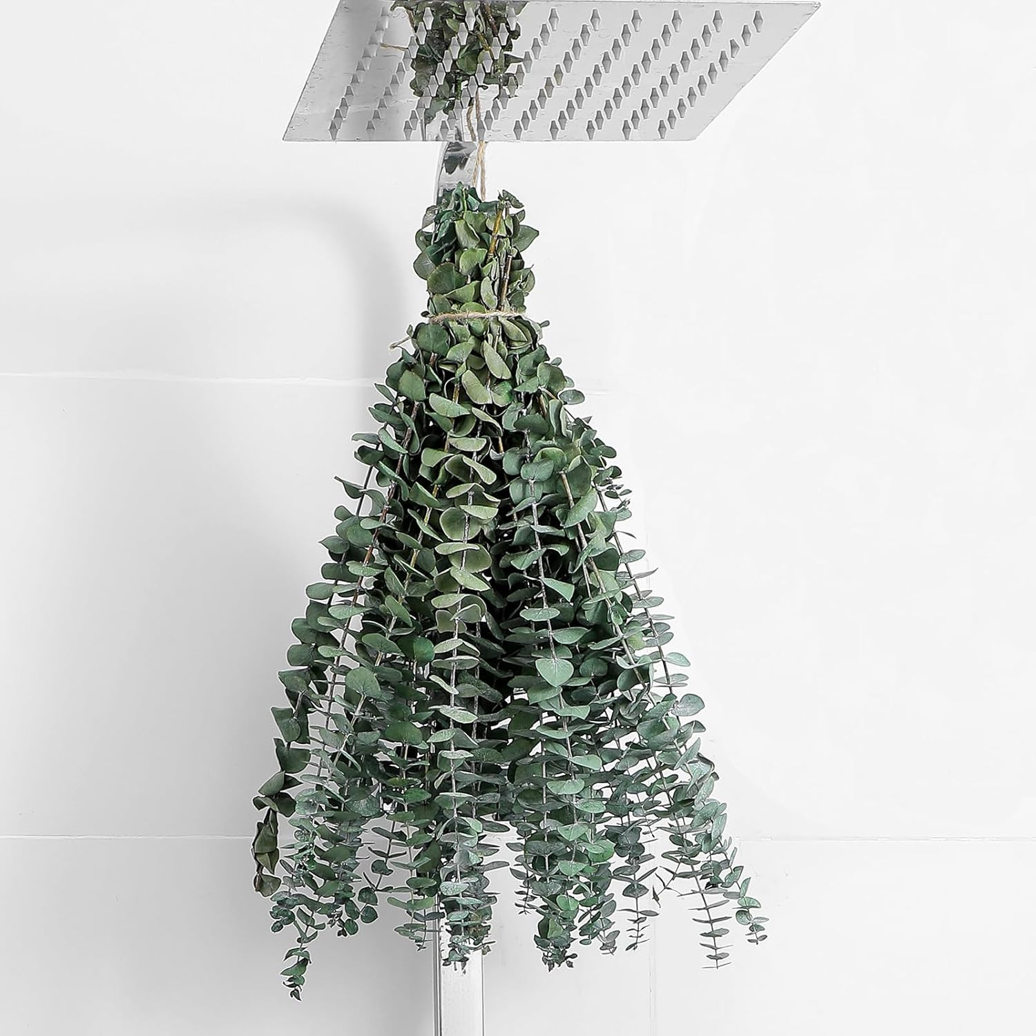 10 Pcs Dried Eucalyptus Stems 17\ 10 Pcs Dried Eucalyptus Stems 17\