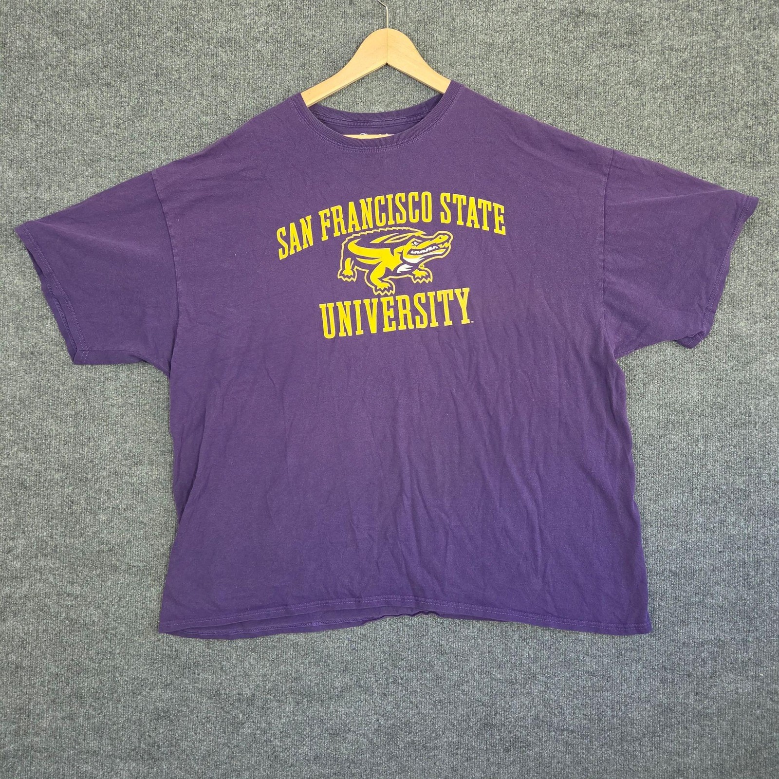 Champion San Francisco State University Shirt Mens 3XL Purple Graphic Tee Gators