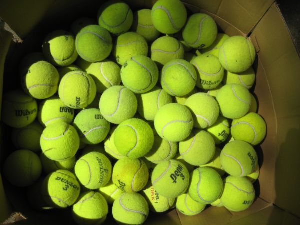 120 MIXED Tennis Balls WILSON PENN DUNLOP Dog Toy LOT SPECIAL DEAL SALE