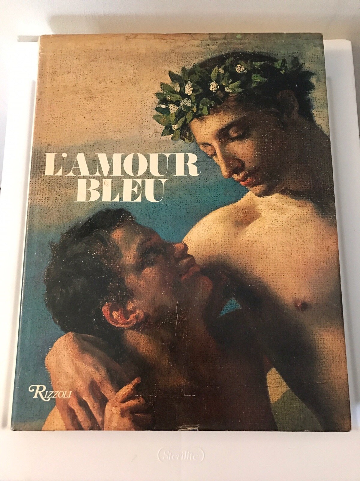 Cecile Beurdeley / L'AMOUR BLEU 1978 GAY ART & ARTISTS LARGE HARDCOVER