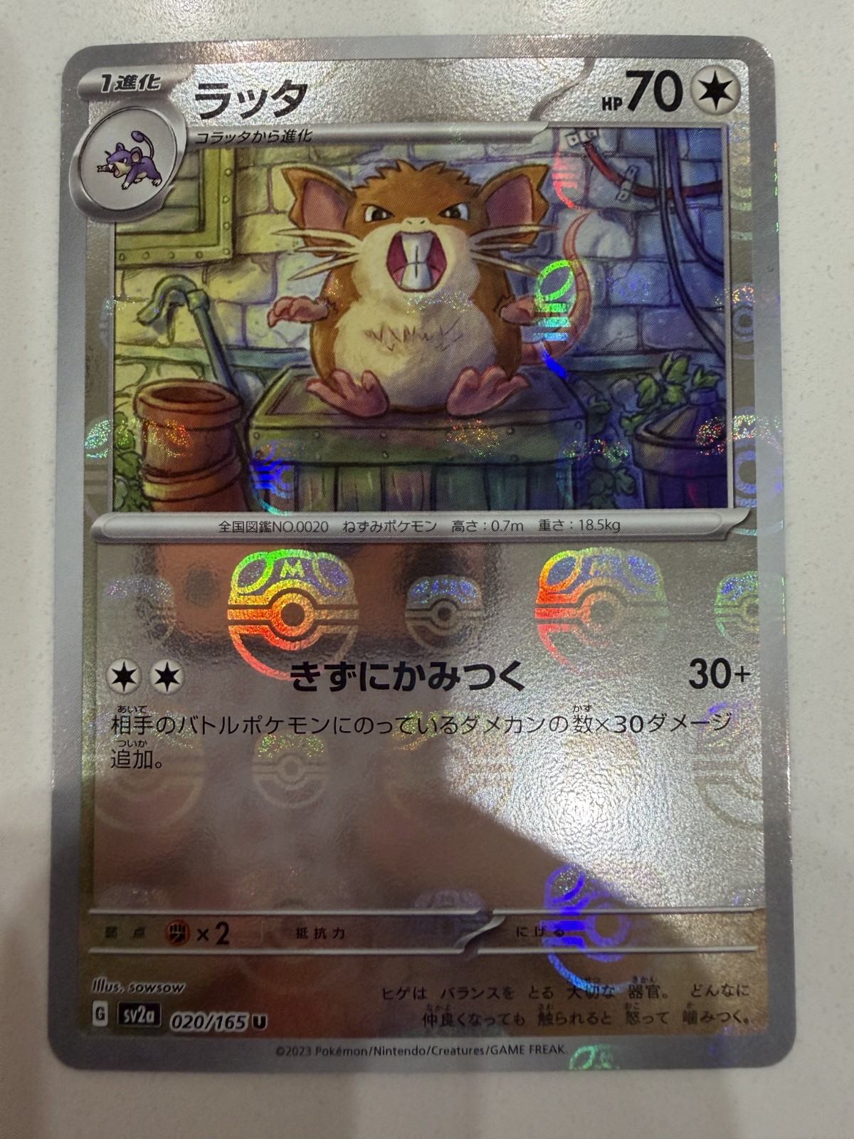 Japanese Raticate (Master Ball Foil) 020/165 SV2a: Pokémon 151 Japanese Raticate (Master Ball Foil) 020/165 SV2a: Pokémon 151