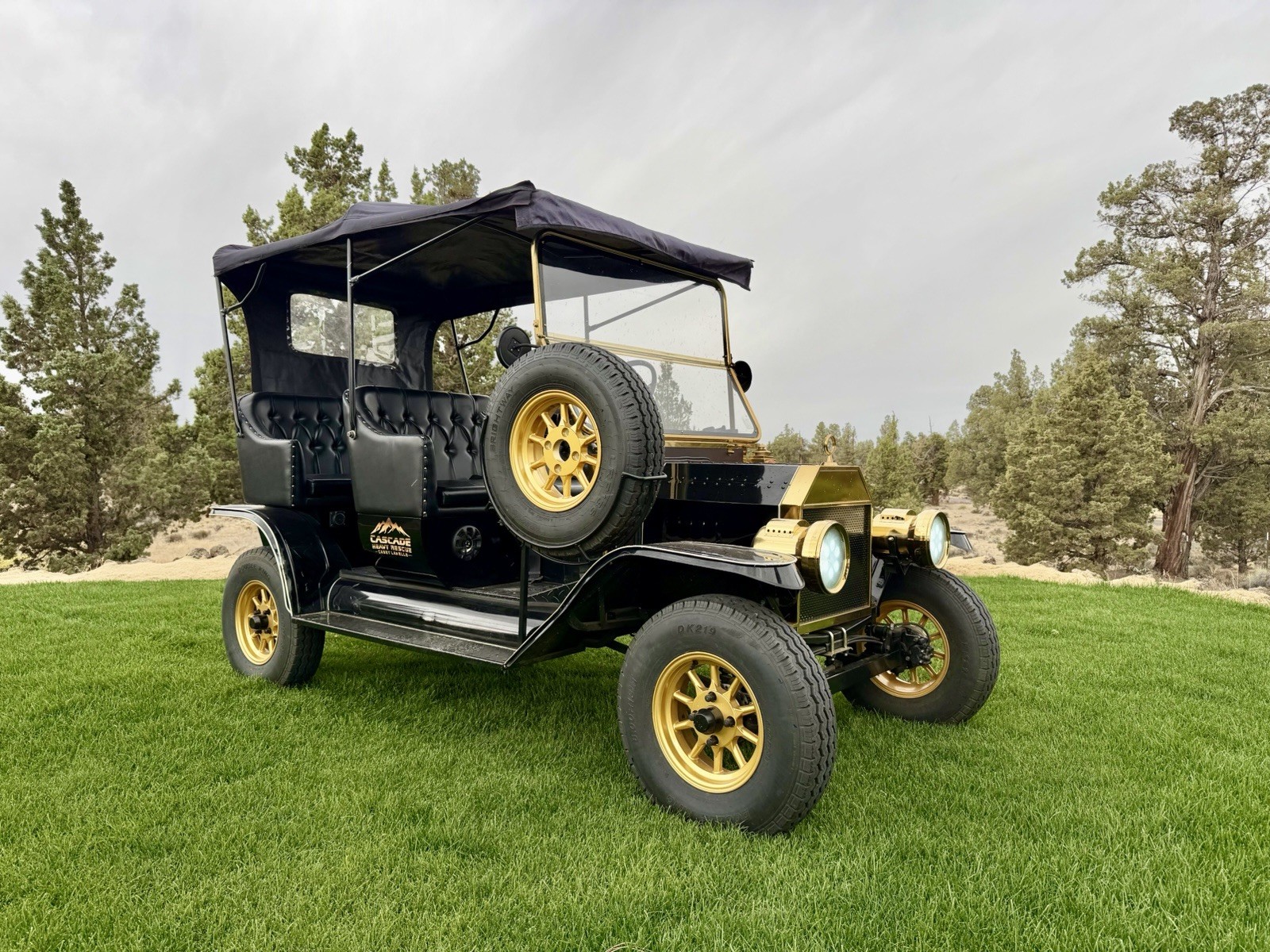 48V Model T Electric Golf Cart