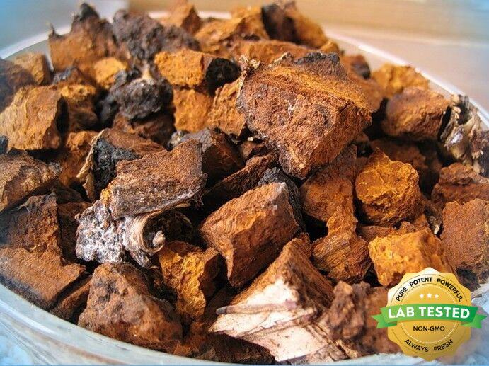 Pure Wild Alaska Dried Chaga Mushroom Chunks Organic 1 Pound