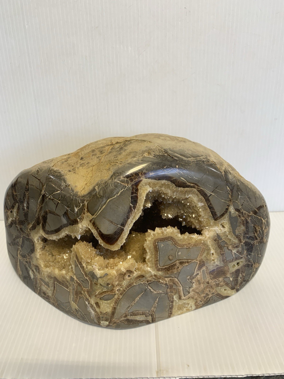 Huge Septarian Nodule Hollow Freeform 21 Lbs (Utah) Description Card , Fossils Huge Septarian Nodule Hollow Freeform 21 Lbs (Utah) Description Card , Fossils