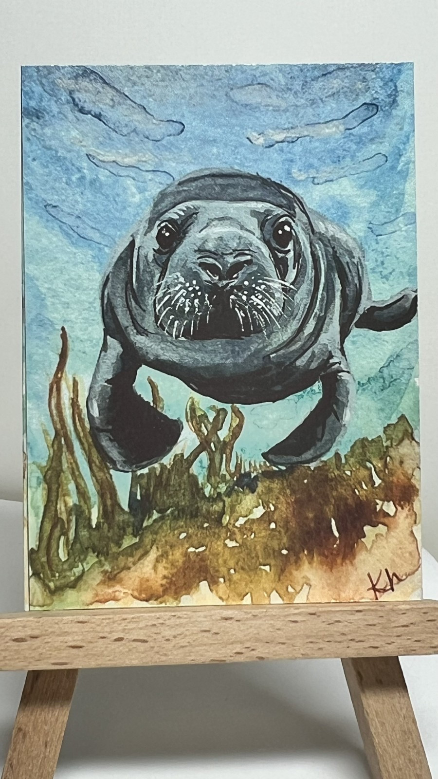 ACEO PRINT Manatee 
