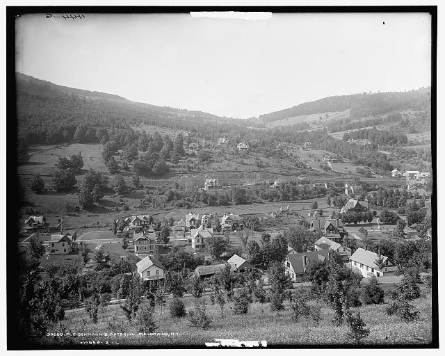 Fleischmann\'s, Catskill Mountains, New York c1900 OLD PHOTO Fleischmann\'s, Catskill Mountains, New York c1900 OLD PHOTO