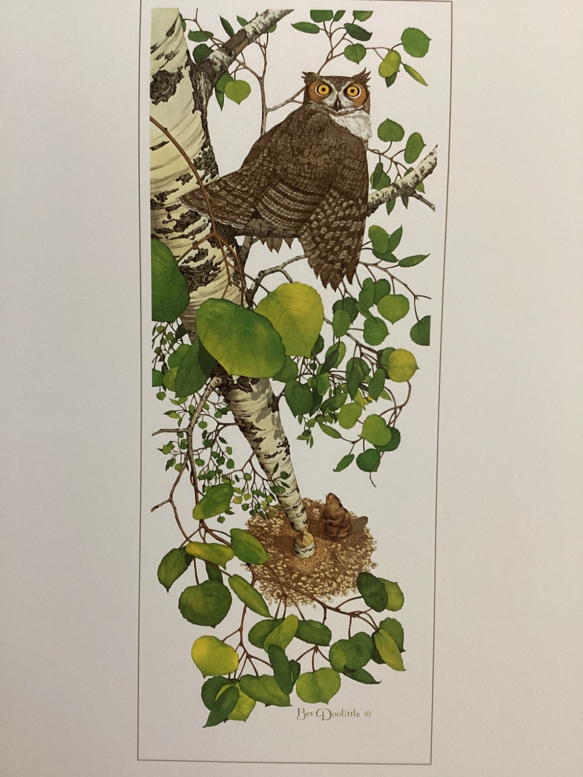 Bev Doolittle WHOO \ Bev Doolittle WHOO \