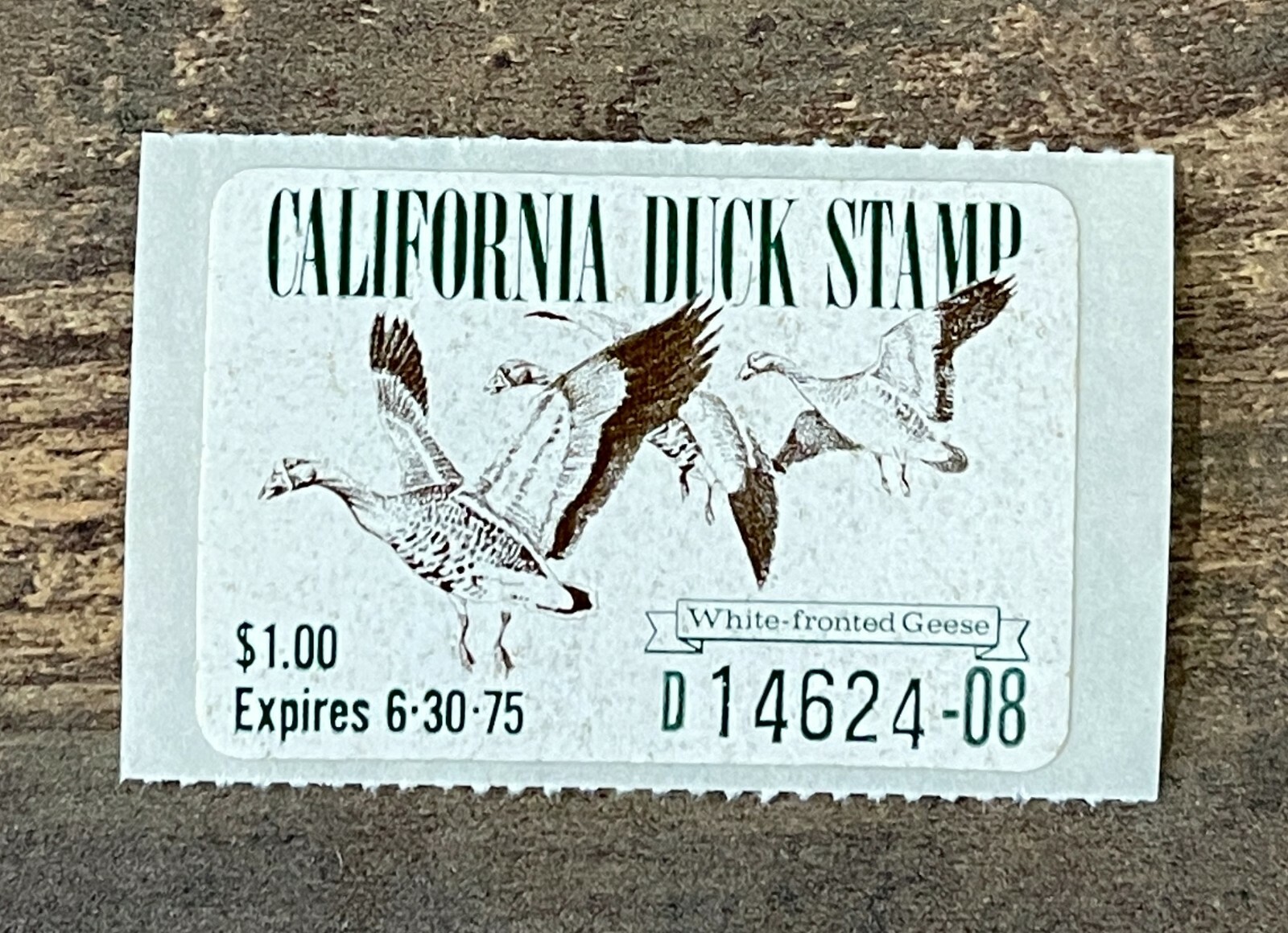 WTDstamps - 1974 CALIFORNIA - State Duck Stamp - Lot1 - Mint OG NH WTDstamps - 1974 CALIFORNIA - State Duck Stamp - Lot1 - Mint OG NH