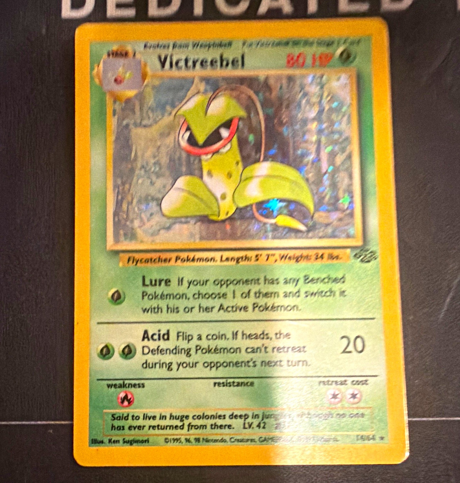 Wizards of the Coast Victreebel 14/64 Jungle Holo Rare Unlimited EN 80 HP