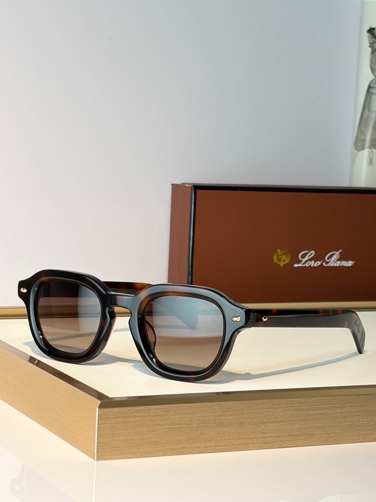 Loro Piana Style Unisex Sunglasses - MODEL: ANDRE SIZE：47口25-150